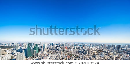 Foto d'archivio: Tokyo City Skyline Aerial View Japan