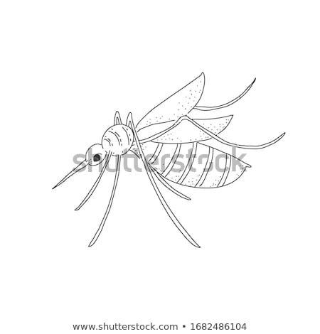 Foto stock: Stop Mosquito Cartoon Character With Prohibited Symbol