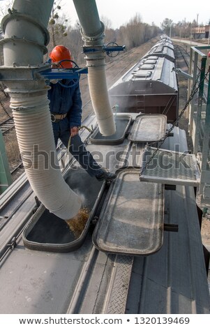 Stock foto: Rails And Grain Elevators