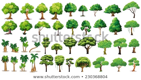 Сток-фото: Tree Set