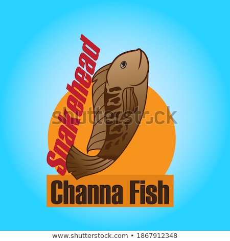 Foto stock: Vector Of Hunter Cooking Fish