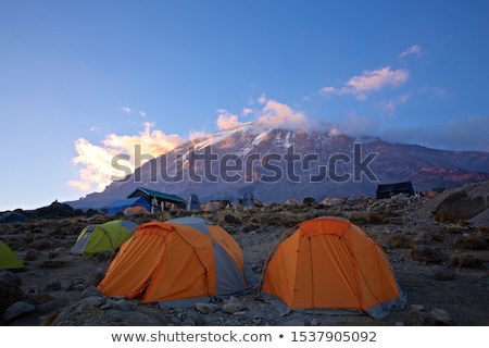 [[stock_photo]]: Kilimanjaro At Sunrise