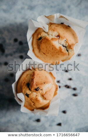 Foto stock: Two Chocolate Cupcakes Or Muffins With Decoration