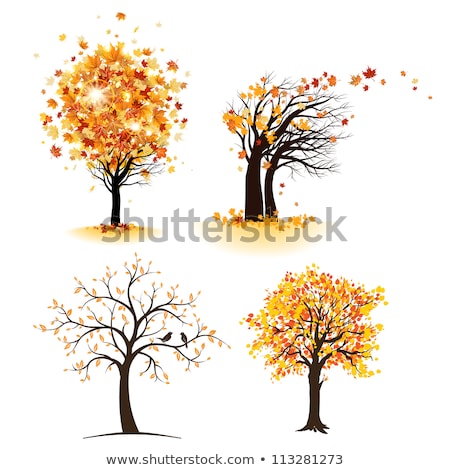 Foto stock: Abstract Vector Autumn Tree Illustration