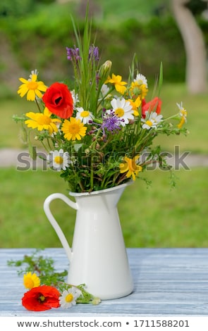 ストックフォト: Wildflower Bouquet