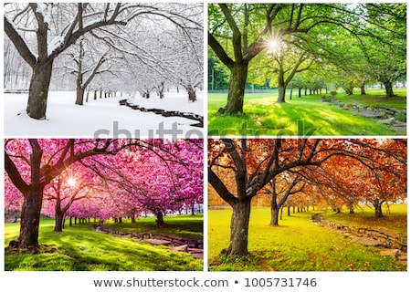 Foto stock: Japanese Garden In The Fall Collage