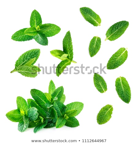 Foto stock: Mint Leafs