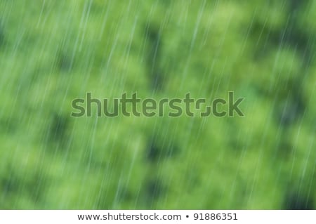 Gotas de chuva caindo sobre fundo verde desfocado Foto stock © tarczas