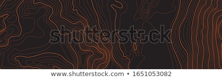 Stock foto: Topographic Map Contour Elevation Background