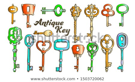 ストックフォト: Key In Different Form And Material Ink Color Set Vector