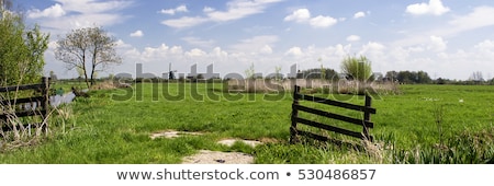 Foto stock: Wide Typical Dutch Landscape