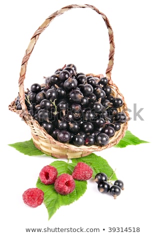 Stok fotoğraf: Healthy Fresh Black Currant Macro Cloceup On Market Outdoor