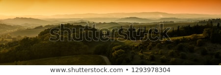 Foto stock: Tuscan Country