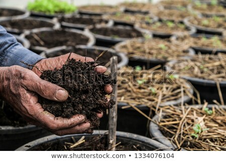 ストックフォト: Farmer Holding Pile Of Arable Soil