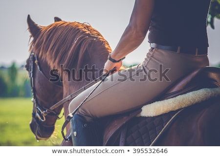 Stock photo: Woman Riding On A Horse
