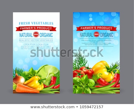 Card Template With Vegetables ストックフォト © Alkestida