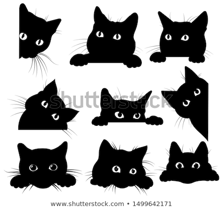Foto stock: Set Of Black Cat Silhouettes