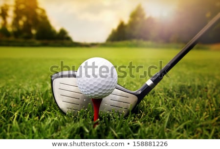 Stok fotoğraf: Golf Ball On Green Grass