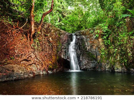 ストックフォト: Small Waterfall At Tropical Rain Forest Vang Vieng Laos