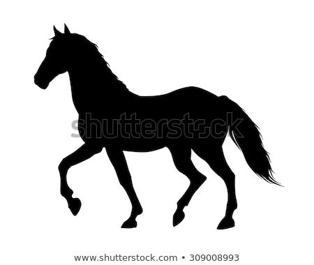 Stock fotó: Horse Silhouette Isolated On White