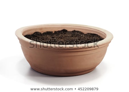 Foto stock: Pot Filled With Potting Soil