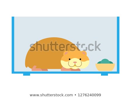 Stock fotó: Hamster Inside Cell In Aquarium Cute Pet On White Background H