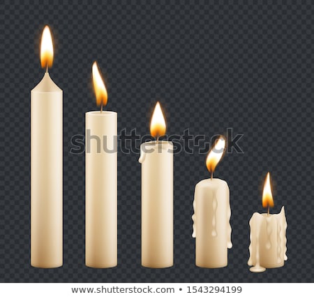 Foto stock: Animation Stage Of Decorative Fire Flame Vector