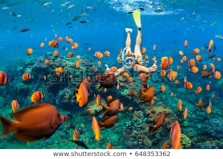 Stockfoto: Happy Woman In Snorkeling Mask Dive Underwater With Tropical Fishes In Coral Reef Sea Pool Travel L