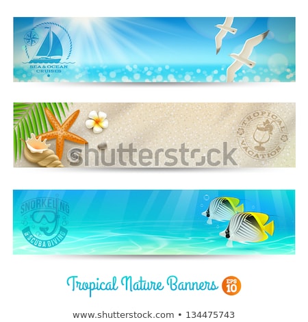 Stock photo: Summer Banner With Cockleshells Vector Illustration