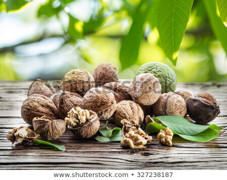 Foto stock: Dried Walnuts With Leafs