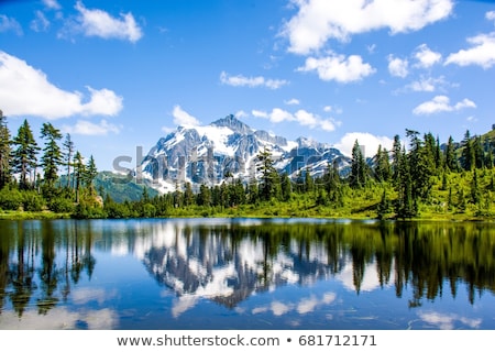 ストックフォト: Picture Lake Evergreens Mount Shuksan Washington Usa