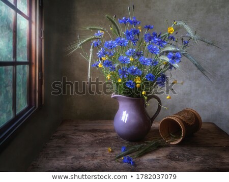 Foto stock: Still Life With Bouquet Purple Wild Flowers