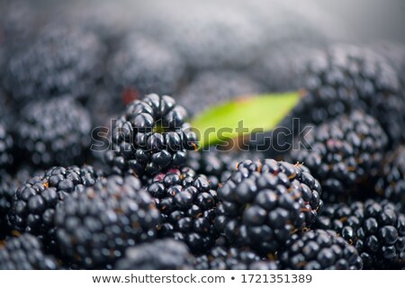 Stockfoto: Detail Of Blackberries Juicy And Fresh Bio Blackberries From Summer Garden
