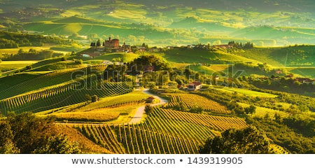 Stok fotoğraf: Castle On The Hill Piedmont Northern Italy