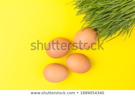 Foto stock: Decorated Chicken Eggs In Grass