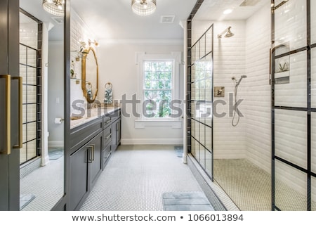 ストックフォト: The Luxury Bathroom