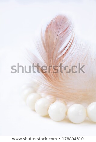 Stok fotoğraf: Magnificent White Pearl