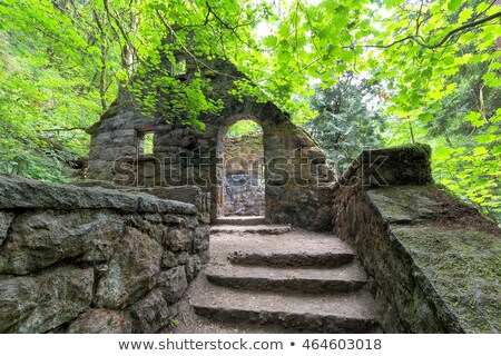 Stockfoto: Abandoned Stone House With Maple Trees At Wildwood Trail