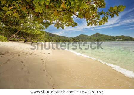 Zdjęcia stock: Scenic View Of Baie Lazare Mahe Island Seychelles
