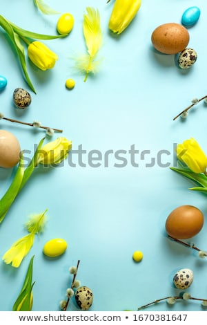 Stockfoto: Easter Background With Quail Eggs And Pussy Willow