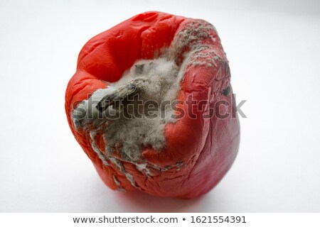 Сток-фото: Rotten Bell Pepper On White Background