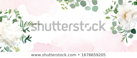 Foto stock: Watercolor Banner With Flowers