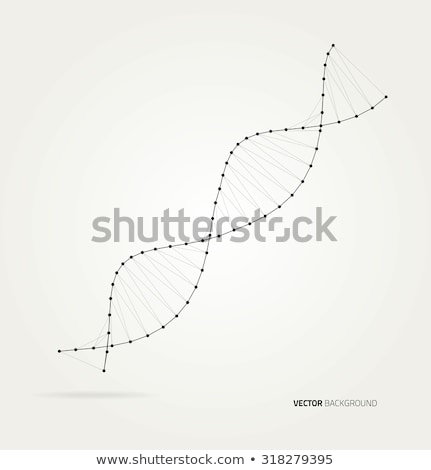 Stok fotoğraf: Dna Structure Vector Digital Cell Healthy Chromosome Evolution Symbol Illustration