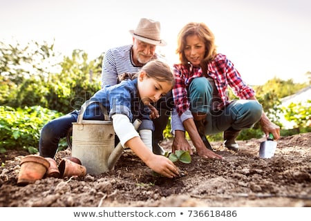 Stockfoto: Grandmother And Girl Planting Flowers At Garden