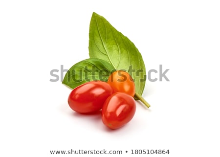 Stok fotoğraf: Green Cherry Tomatoes Growing