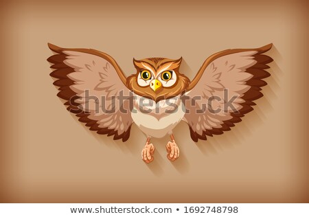 Stok fotoğraf: One Brown Owl Flapping Wings On Brown Background