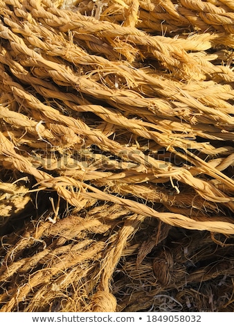 Foto stock: Envelope On Clothes Rope