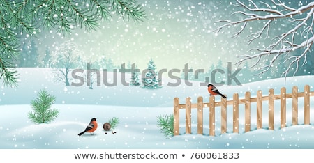 Stock photo: Winter Landscape View Fields Forests Covered Snow