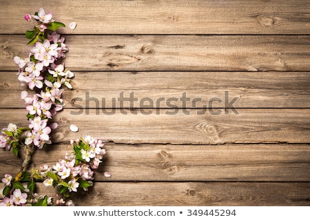 Stockfoto: Pink Easter Decoration On A Wooden Background