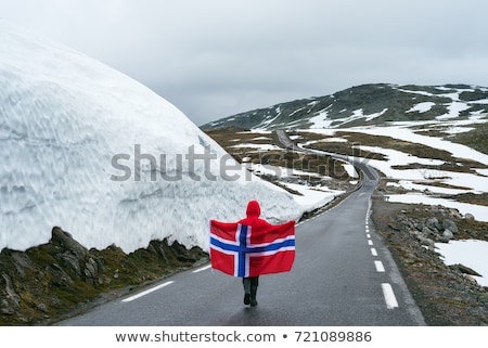 Stock fotó: Girl With A Norwegian Flag On A Snowy Road In Norway